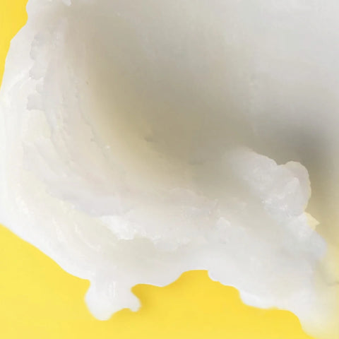 Shea + Coconut Oil Moisturizing Lip Balm